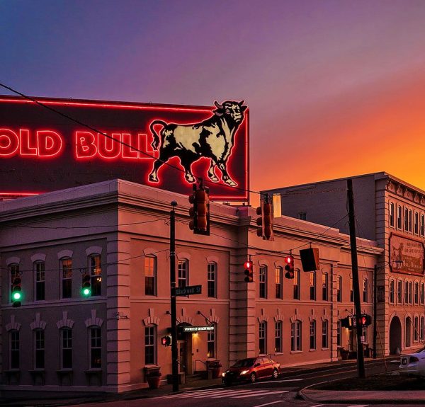 Old Bull Old Bull